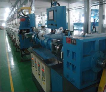 Extruder and LCM line